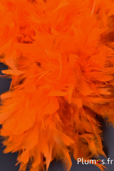 Hahnenboa chandelle - 10 cm - orange